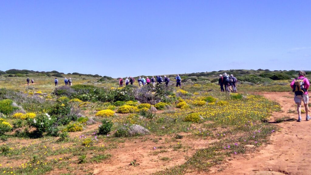 Lagoa: The West Algarve — 8 Days